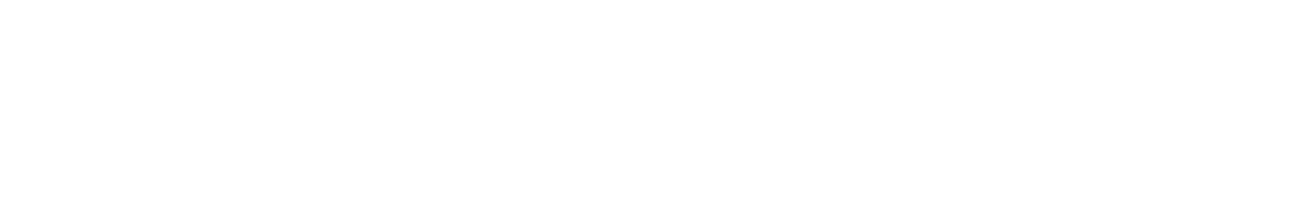 Server Logo